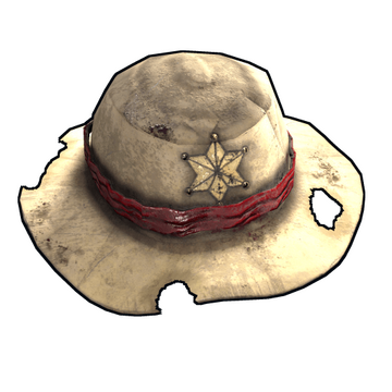 Cowboy Hat image