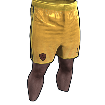 Rust Goalkeeper Shorts image