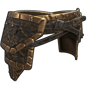 Snap Turtle Pants image