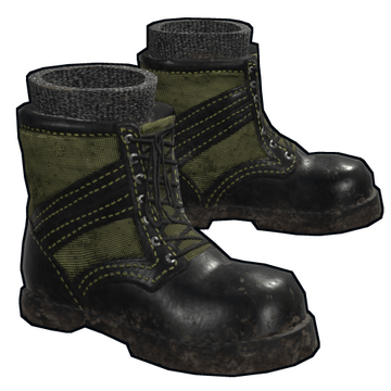 Combat Boots image