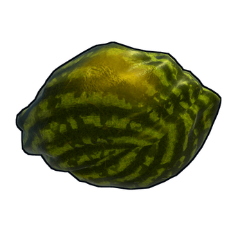 Ripe Watermelon image