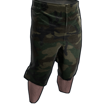 Camo Shorts image