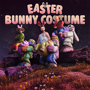 Bunny Costume image