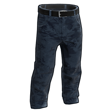 Urban Camo Pants image