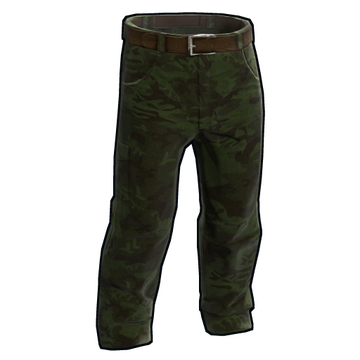 Forest Camo Pants image