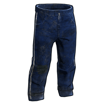 Blue Track Pants image