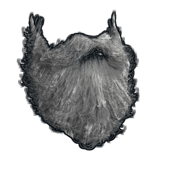 Santa Beard image