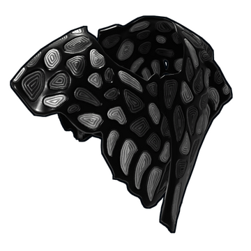 HellCore Poncho image