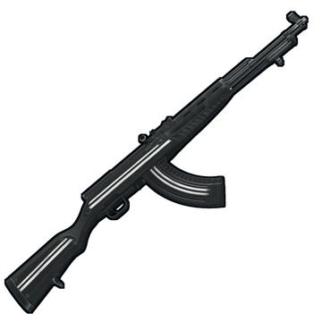 Training SKS 2.0 image