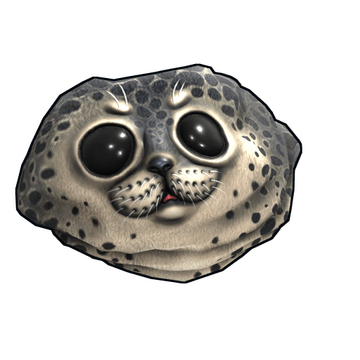 Harbor Seal Rock image