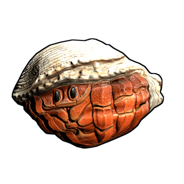 Hermit Crab Rock image