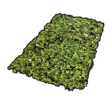 Grass Rug image