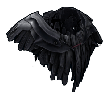 Raven Poncho image