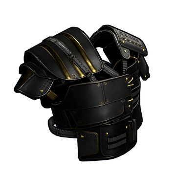 Black Gold Vest image