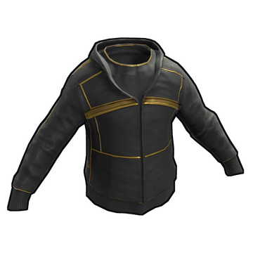 Black Gold Hoodie image