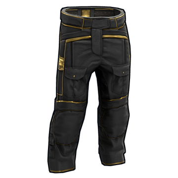 Black Gold Pants image