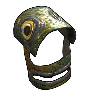 Fish Helmet image