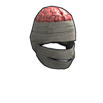 Wrapped Brain image