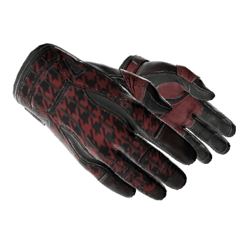 Sport Gloves