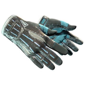 Sport Gloves
