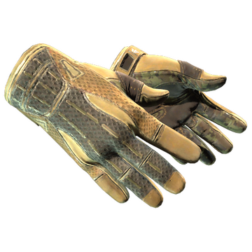 Sport Gloves | Arid