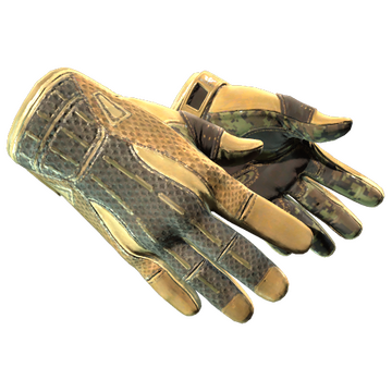 ★ Sport Gloves | Arid
