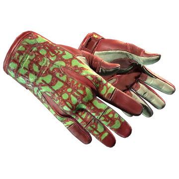 Sport Gloves