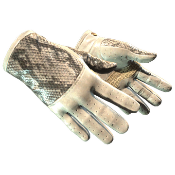 ★ Driver Gloves | King Snake