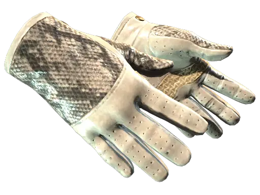 ★ Driver Gloves | King Snake