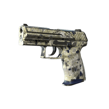 Souvenir P2000 | Granite Marbleized