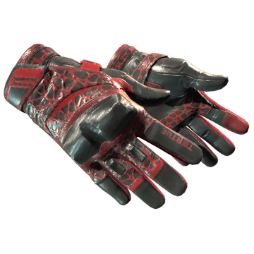 Moto Gloves