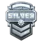Silver (Foil)