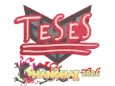 Sticker | TeSeS | Shanghai 2024 image