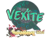Sticker | vexite (Holo) | Shanghai 2024 image