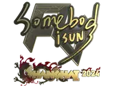 Sticker | somebody (Gold) | Shanghai 2024 image