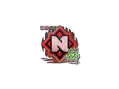 Sticker | Nemiga (Holo) | 2020 RMR image