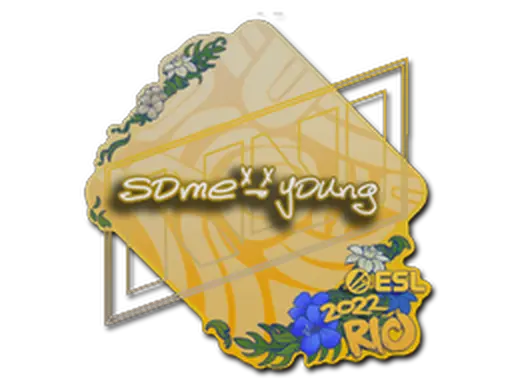 Sticker | sdy | Rio 2022