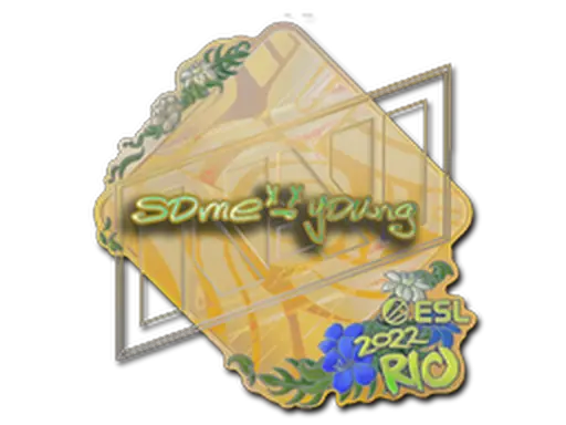 Sticker | sdy (Holo) | Rio 2022