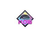 Sticker | Miami Flow (Holo) image