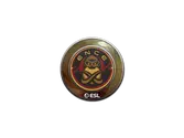 Sticker | ENCE | Katowice 2019 image