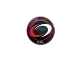 Sticker | compLexity Gaming (Foil) | Katowice 2019 image