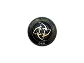 Sticker | Ninjas in Pyjamas (Foil) | Katowice 2019 image