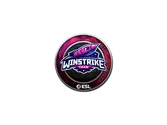 Sticker | Winstrike Team (Foil) | Katowice 2019 image