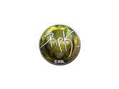 Sticker | RpK (Foil) | Katowice 2019 image