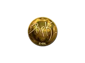 Sticker | RpK (Gold) | Katowice 2019 image