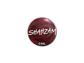 Sticker | ShahZaM | Katowice 2019 image