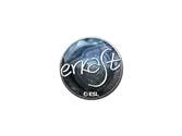 Sticker | erkaSt (Foil) | Katowice 2019 image