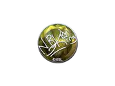 Sticker | NBK- (Foil) | Katowice 2019 image