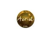 Sticker | Aerial (Gold) | Katowice 2019 image