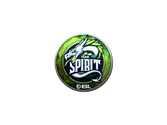 Sticker | Team Spirit (Foil) | Katowice 2019 image